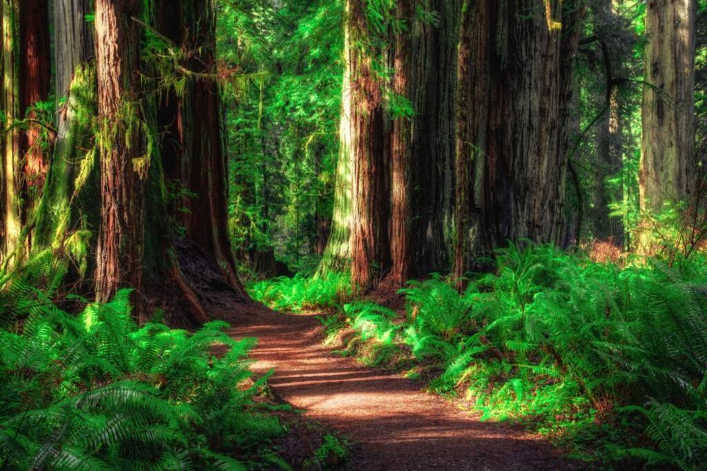 Bear Mountain - Suite 1 Grants Pass Ngoại thất bức ảnh